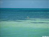Playa Combate - CABO ROJO